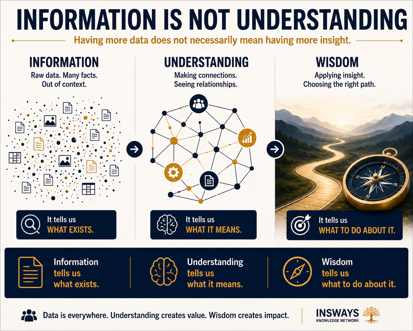 Information is Not Understanding